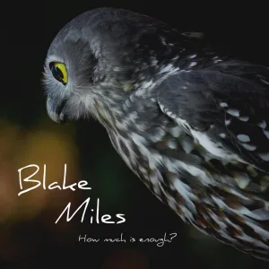 Blake Miles - Lost in my Skin