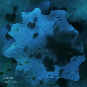 Black holes