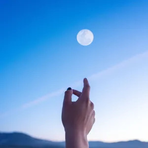 Моё утро