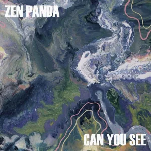 Can You See