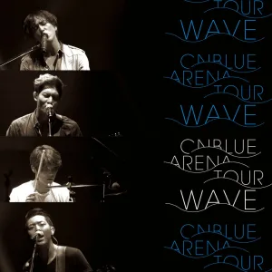 Y, Why... (Live-2014 Arena Tour -WAVE-@OSAKA-JO HALL, Osaka)