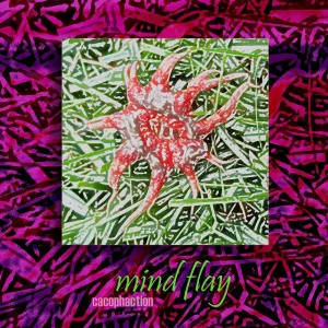 Mind Flay