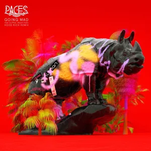 Going Mad (Hood Rich Extended Remix)