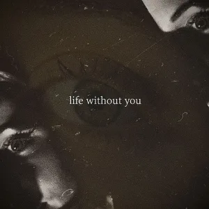 Life Without You