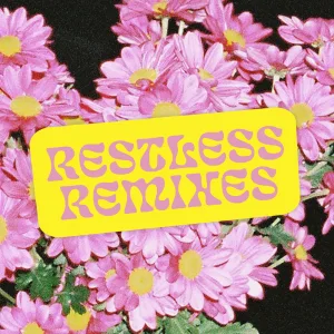 Restless (Kraak & Smaak Remix)