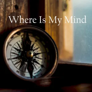 Where Is My Mind