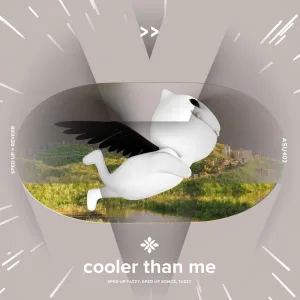 cooler than me - sped up + reverb