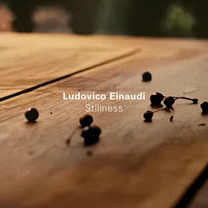 Seven Days Walking / Day 2 : Einaudi: Seven Days Walking / Day 2: Fox Tracks
