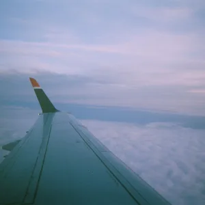 Fly Too