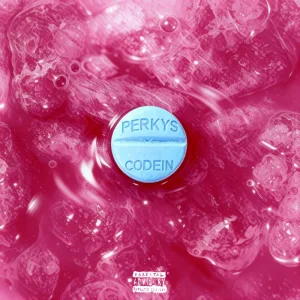 PERKYS & CODEIN