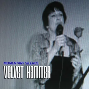 Momentary Silence (Short Version)
