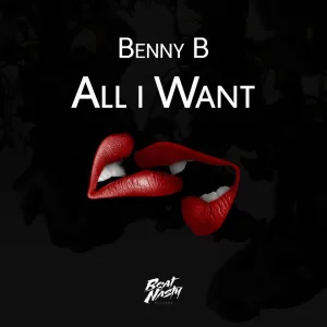 All I Want (Original Mix)