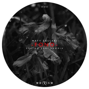 Fono (Gaston Zani Rawmix)