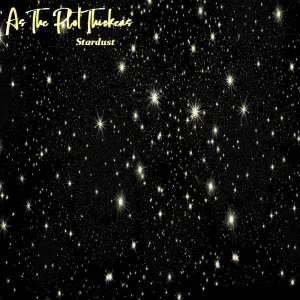 Stardust