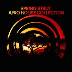 Down in Africa (Danny Massure remix)