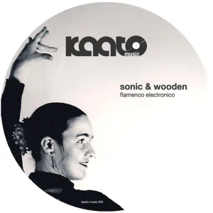 Sonic Electronic