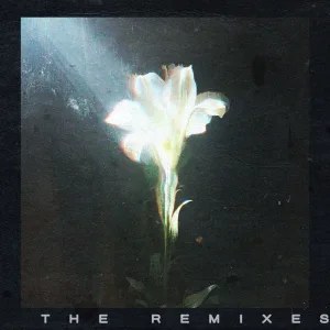 Light That Leads Me (feat. Bebe Rexha) (Subsonic Remix)