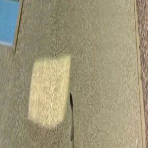 Gotta Blast (feat. Seez)
