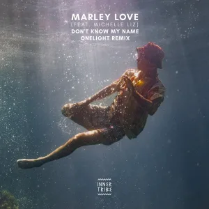 Don't Know My Name (ft. Michelle Liz) - Onelight Remix by Marley Love