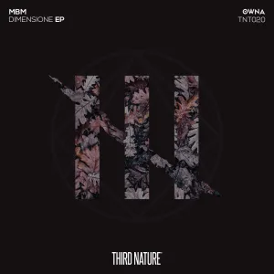 Ore (Original Mix)