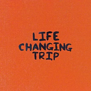 Life Changing Trip (ft. Austin Skinner)