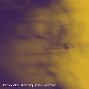 how do I Pasquinel Remix