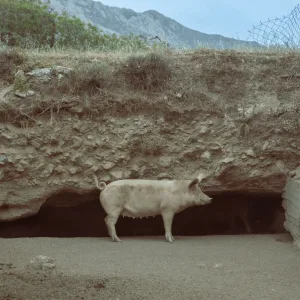 ΗΛΙΟΣ