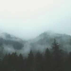 Daytime Haze - ضباب النهار