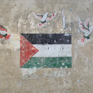 مجوز عربي فلسطيني