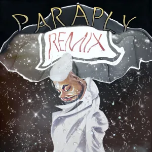 PARAPLY (Remix)