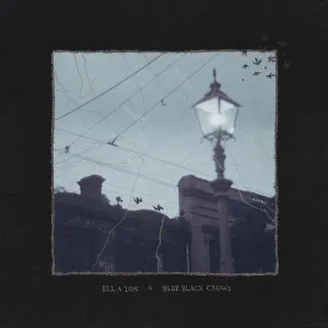 Blue Black Crows