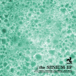 28 Riddim