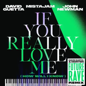 If You Really Love Me (How Will I Know) (David Guetta & MORTEN Future Rave Remix Extended)