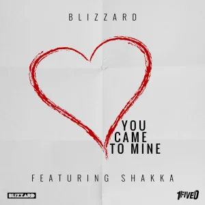 You Came to Mine (feat. Shakka)