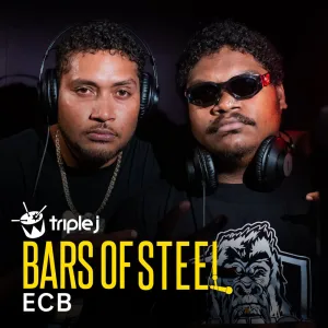 Bars Of Steel