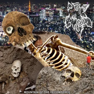 Decomposed