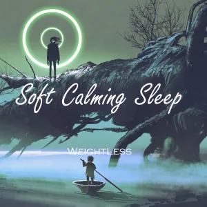 Deep Sleep with Dreams