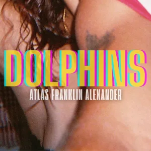 Dolphins