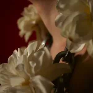 Catene Di Fiori