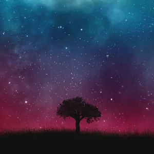 Fading Out