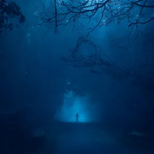 Resonance