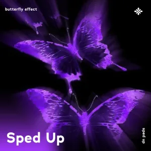 butterfly effect - sped up + reverb