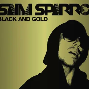 Black and Gold (radio edit)