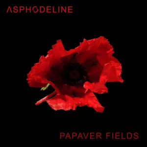 Papaver Fields