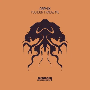 You Don't Know Me (Original Mix)