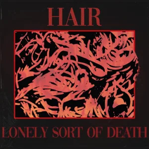 Hair