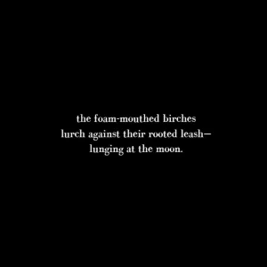 Haiku