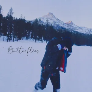 Butterflies