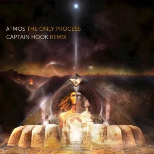 The Only Process (Captain Hook remix)