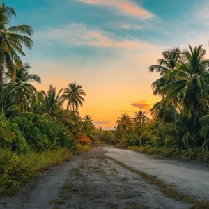 Paradis